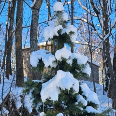 Артем Федоров, Санкт-Петербург