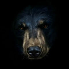 Имя Фамилия, 30.03.1983