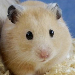 Валера Казьмин, 13.01.2003, Александровск