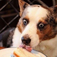 Юлия Кульгина, 09.01