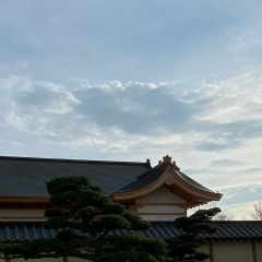 Эльвира , 08.04.1965, Элиста