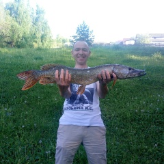 Леонид Ярисов