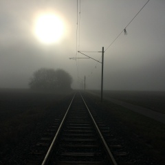 Алексей Эссен, 17.04