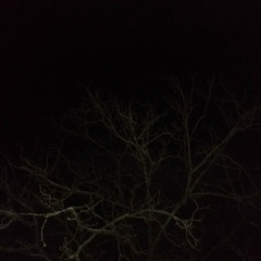 Константин Бойко, Севастополь