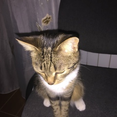 Ляззат Нурмаханова, 25.12.1980, Астана