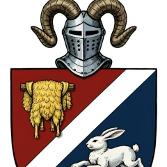 Кирилл Синкевич, Beijing