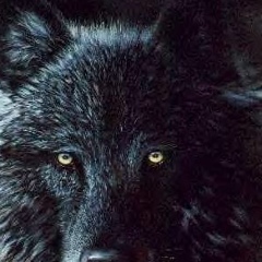 Руслан Гасанов, 17.03.1986, Череповец