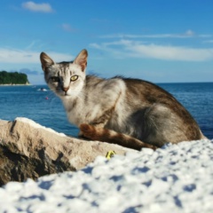 Selin Schneider, 19.09