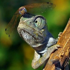 Екатерина Мовчан, 13.07, Владивосток