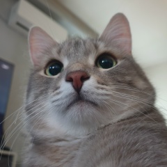 Алексей Максимов, 17.03.1983, Новосибирск