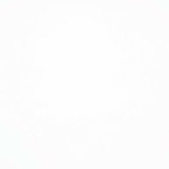 Андрей Кудин