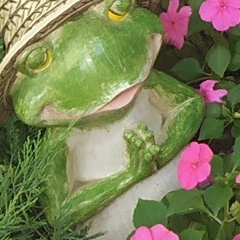 Вячеслав Крупнов, 23.07.1969, Санкт-Петербург