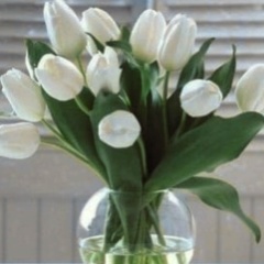 Даша Митрофанова