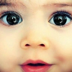 Shamhan Noxcho, 10.08.1995