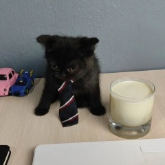 Марат Хайруллин, 23.07.1995, Набережные Челны