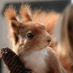 Виктория Романенко, 18.12.1969, Краснодар