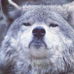 Михаил Болин, 10.07, Красноярск