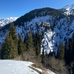 Azamat Madzhitov, 07.07