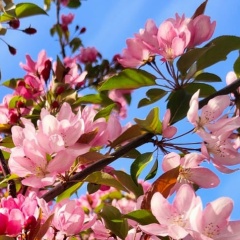 Ирина Ирина, 06.12, Москва