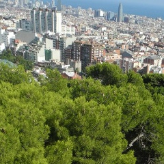 Настя Свирелина-Изотова, 03.01, Москва
