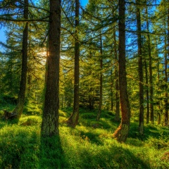 Леонид Карполь, 20.02.1987, Тюмень