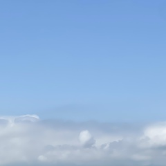 Татьяна Гусева