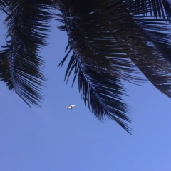 Иван Аркуша, Ko Samui