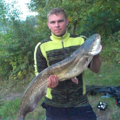 Валерий Забродский