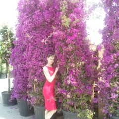 Катя Перевезенцева, 12.06, Бровары