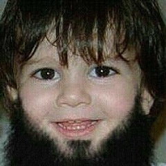Ali Musulmanin