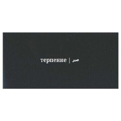 Балжан Берикова, Алматы