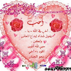 Шохрух Махмудалийев, 10.05.1995