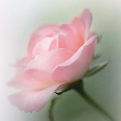 Ольга Бузникина, 14.05.1984, Химки