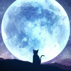 Виктор Евдохин, 21.01.1990, Алматы