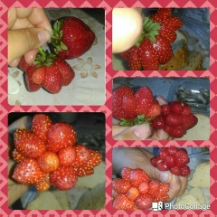 Айсена Гуляева-Лебедева, 22.03.1987, Якутск