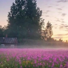 Любовь Красевич, Волот (деревня)