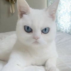 Любовь Исгейм, 05.05.1984, Казань