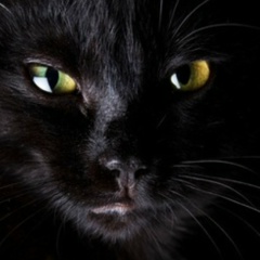 Надежда Воронина, 15.11, Санкт-Петербург