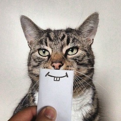 Александр Николаев, 10.05