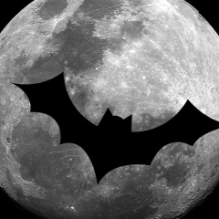 Мая Трапезникова, 26.10, Санкт-Петербург