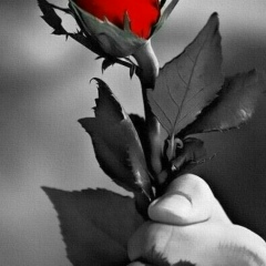 Жахонгир Абдураимов, 29.03.1945, Туркестан