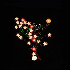 Абдуррахман Зайнулабидов, 14.09.1989, London