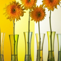 Малика Тусупжанова, 01.06.1987, Астана