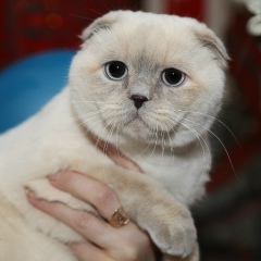 Ирина Малахова, 11.08, Санкт-Петербург