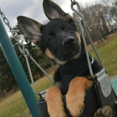 Женя Гайнатулин, 16.10.1988