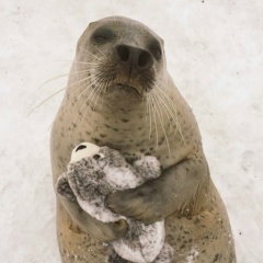 Antonio Syanich, 03.10, Нижний Новгород