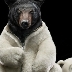 Роман Кот, Калининград