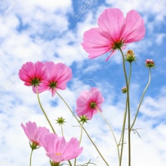 Юлия Буланова, 01.01, Санкт-Петербург