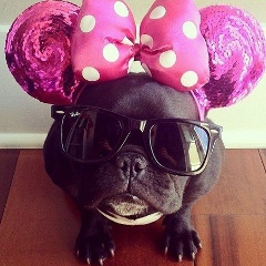 Анна Гавшина, 01.04.1985, Кривой Рог