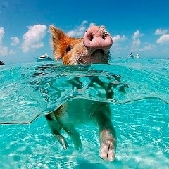 Danon Владимирович, 27.01, Санкт-Петербург